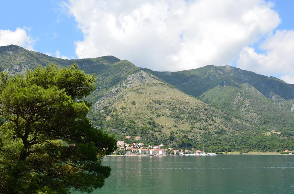 Apartment Ivanisevic 2 Kotor Luaran gambar